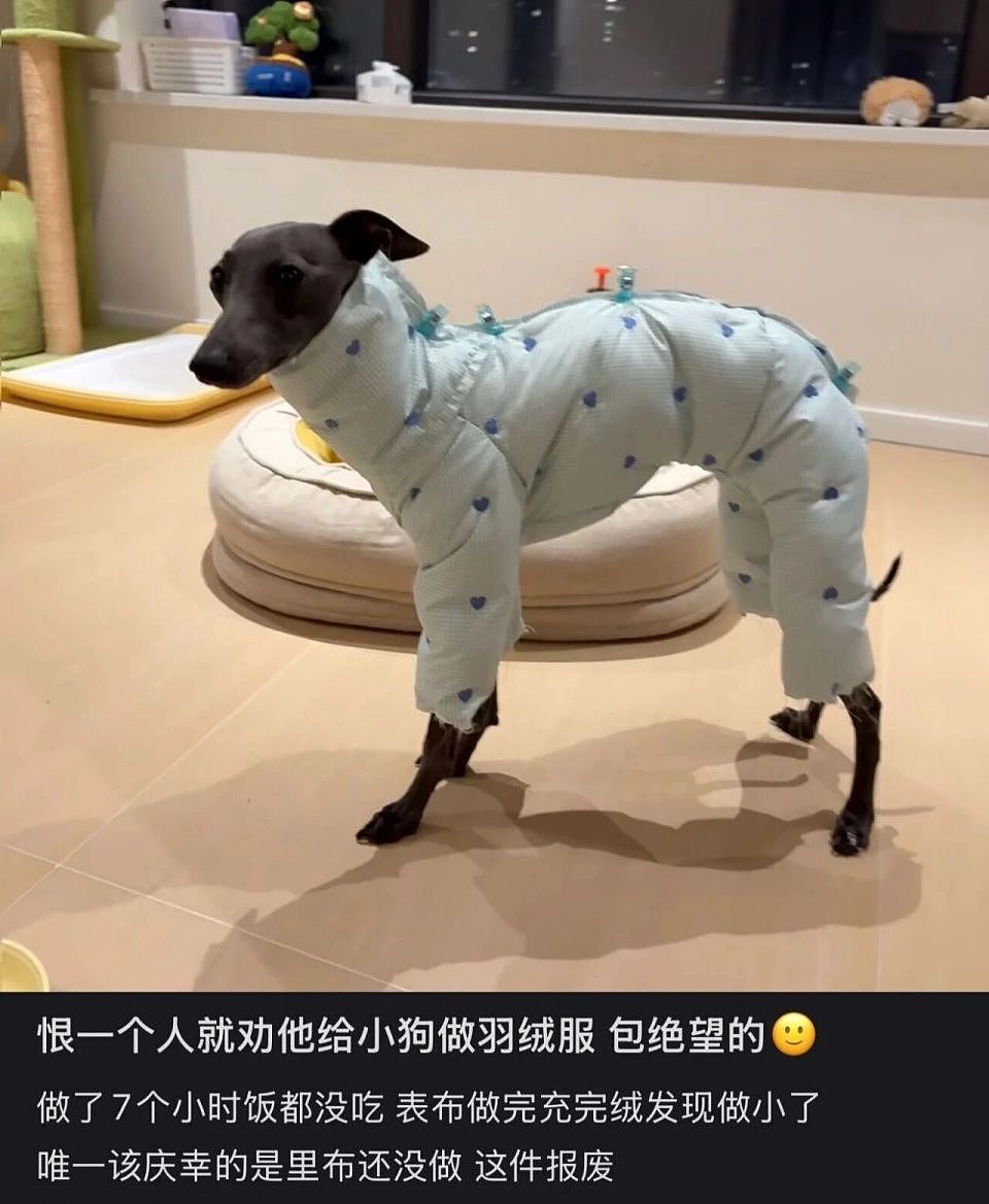 300块的邪修羽绒服，吊打万元始祖鸟？（组图） - 16