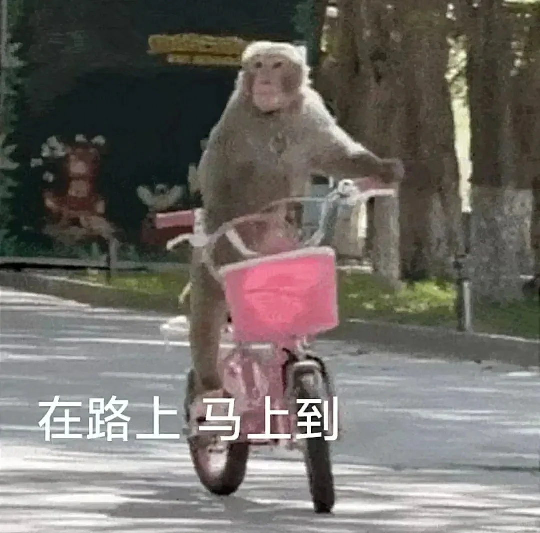 中国新增70位亿万富翁，36%移居海外，近6成选择新加坡！竟是因为...（组图） - 6