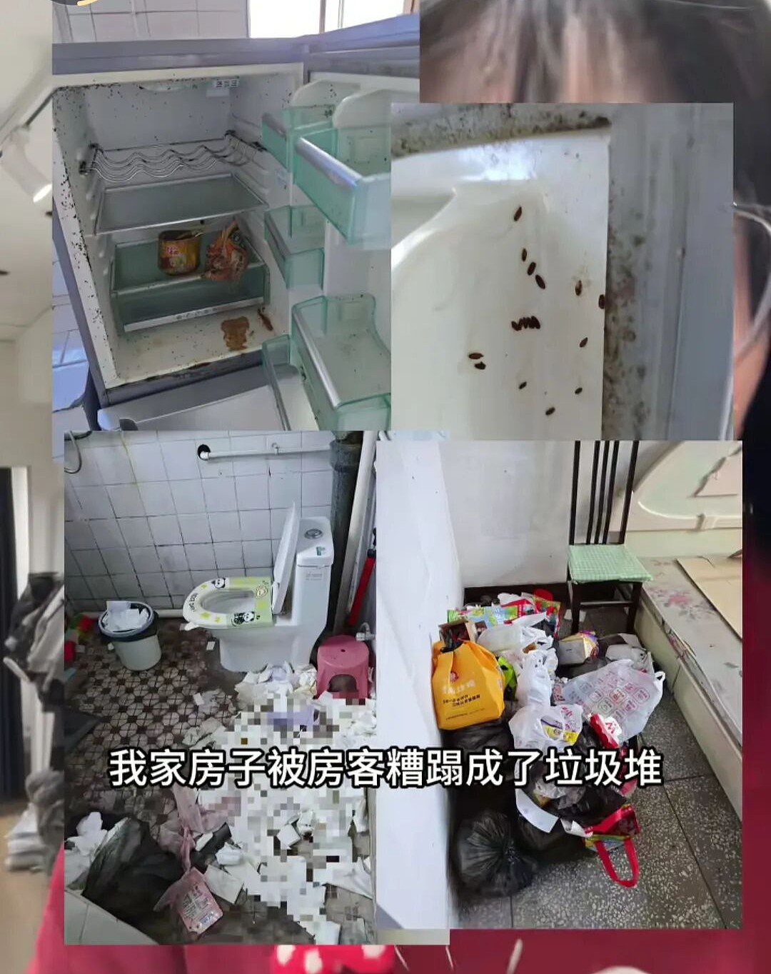3个东北美女“毁房事件”：有些人表面光鲜，背后如此肮脏（组图） - 7