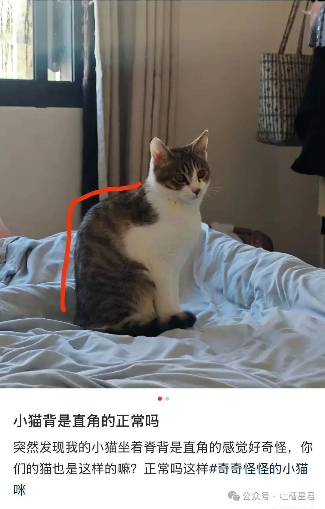 【爆笑】在高铁上外放张震讲故事是种什么体验…?哈哈哈魔法对轰具像化了(组图) - 8