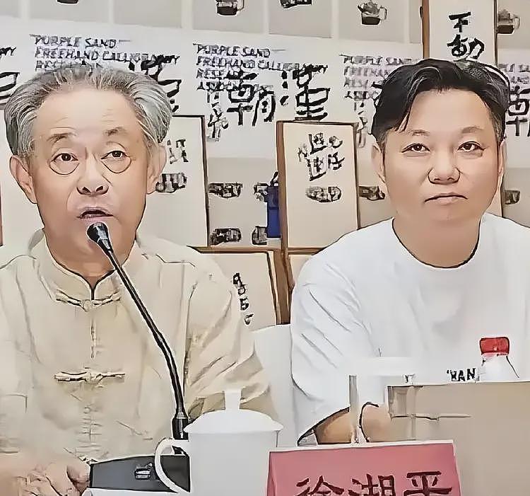 《江南春》后续：国家文物局介入，徐湖平和儿子的猫腻藏不住了（组图） - 14