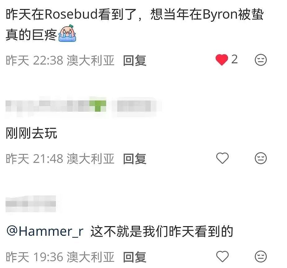 突发关闭！墨尔本东南多处海滩惊现这一幕，记住这点能保命（组图） - 11