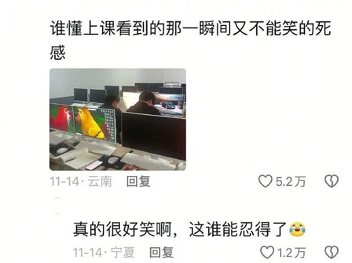 【爆笑】MIU MIU三角内裤售价2.4w？网友傻眼：以后不要说穷的只剩裤衩了 ​​​（组图） - 4