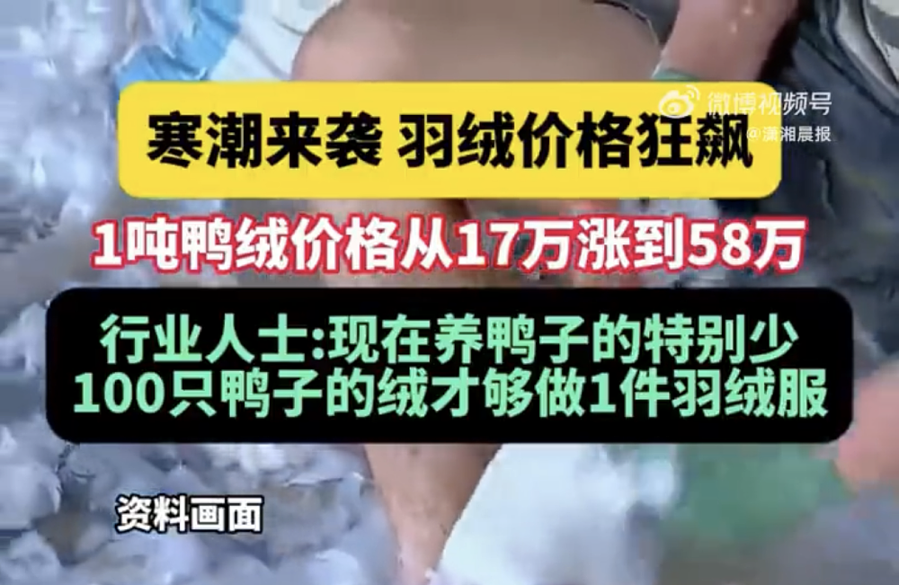 300块的邪修羽绒服，吊打万元始祖鸟？（组图） - 10