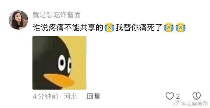 【爆笑】MIU MIU三角内裤售价2.4w？网友傻眼：以后不要说穷的只剩裤衩了 ​​​（组图） - 24
