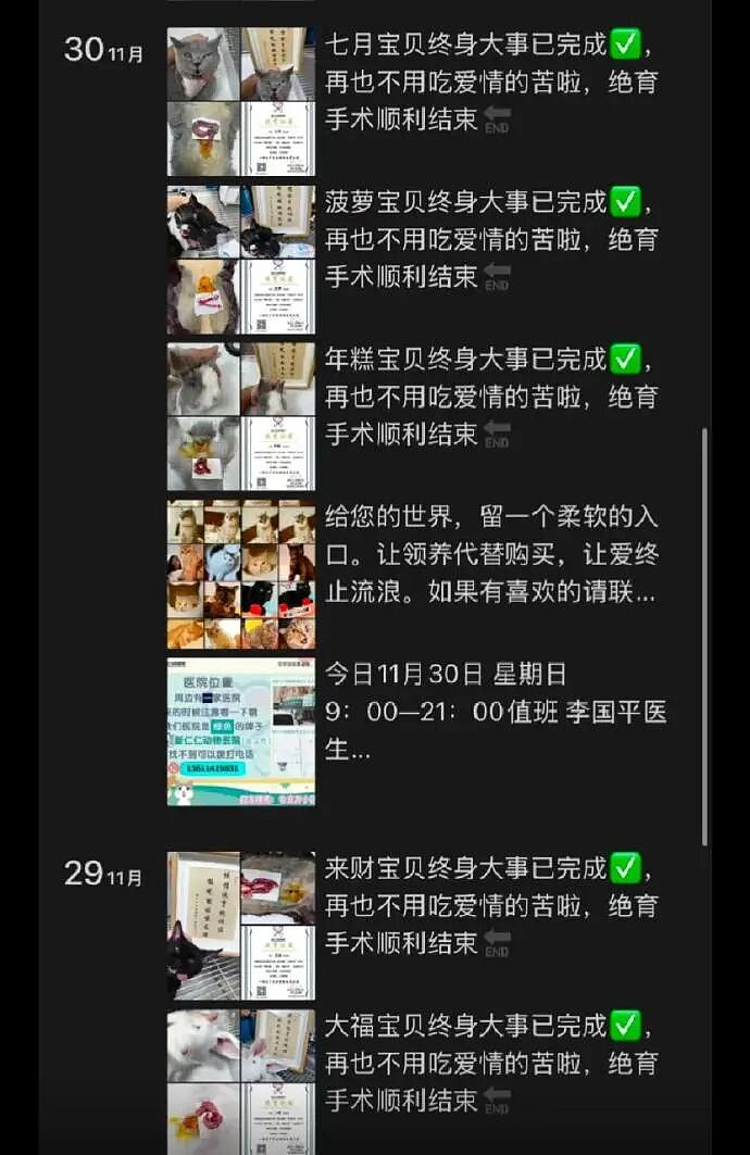 【爆笑】MIU MIU三角内裤售价2.4w？网友傻眼：以后不要说穷的只剩裤衩了 ​​​（组图） - 33