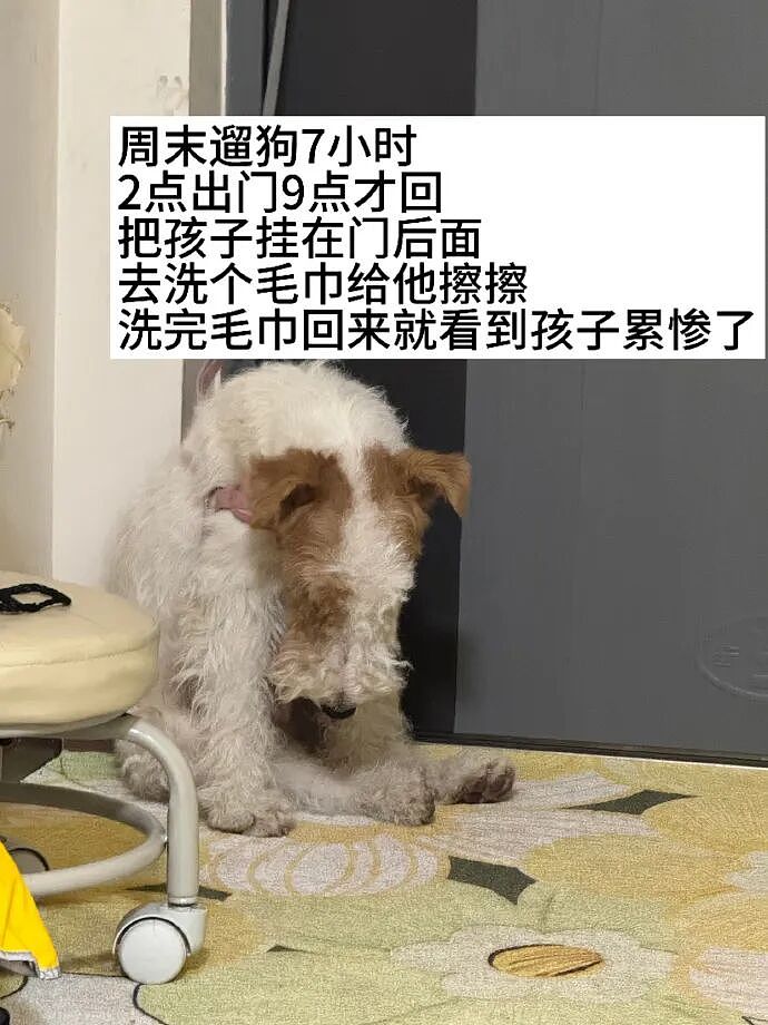 【爆笑】MIU MIU三角内裤售价2.4w？网友傻眼：以后不要说穷的只剩裤衩了 ​​​（组图） - 50