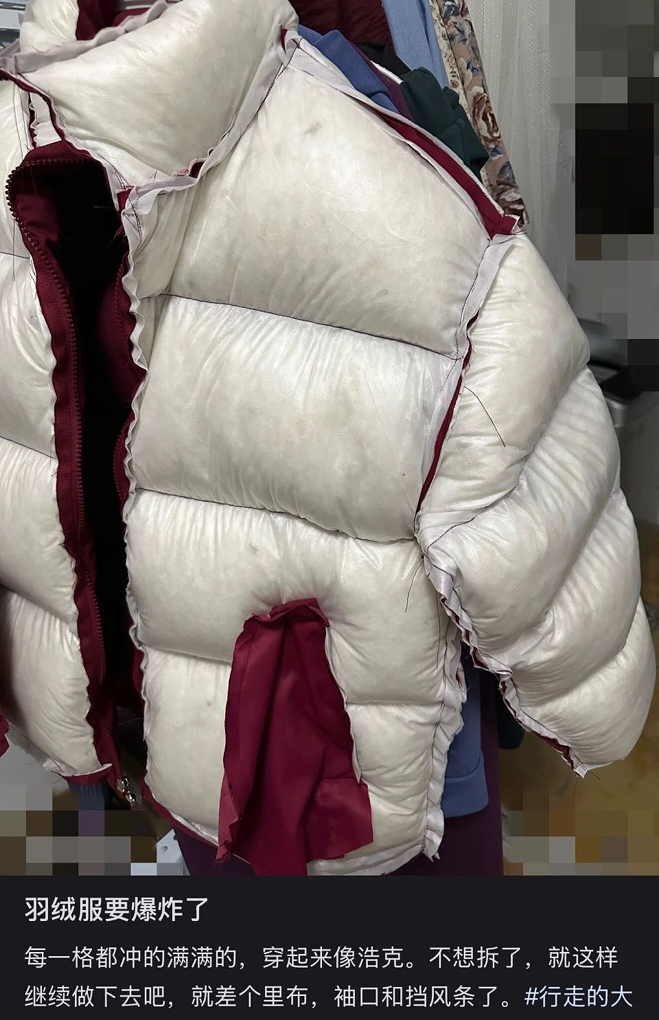 300块的邪修羽绒服，吊打万元始祖鸟？（组图） - 6