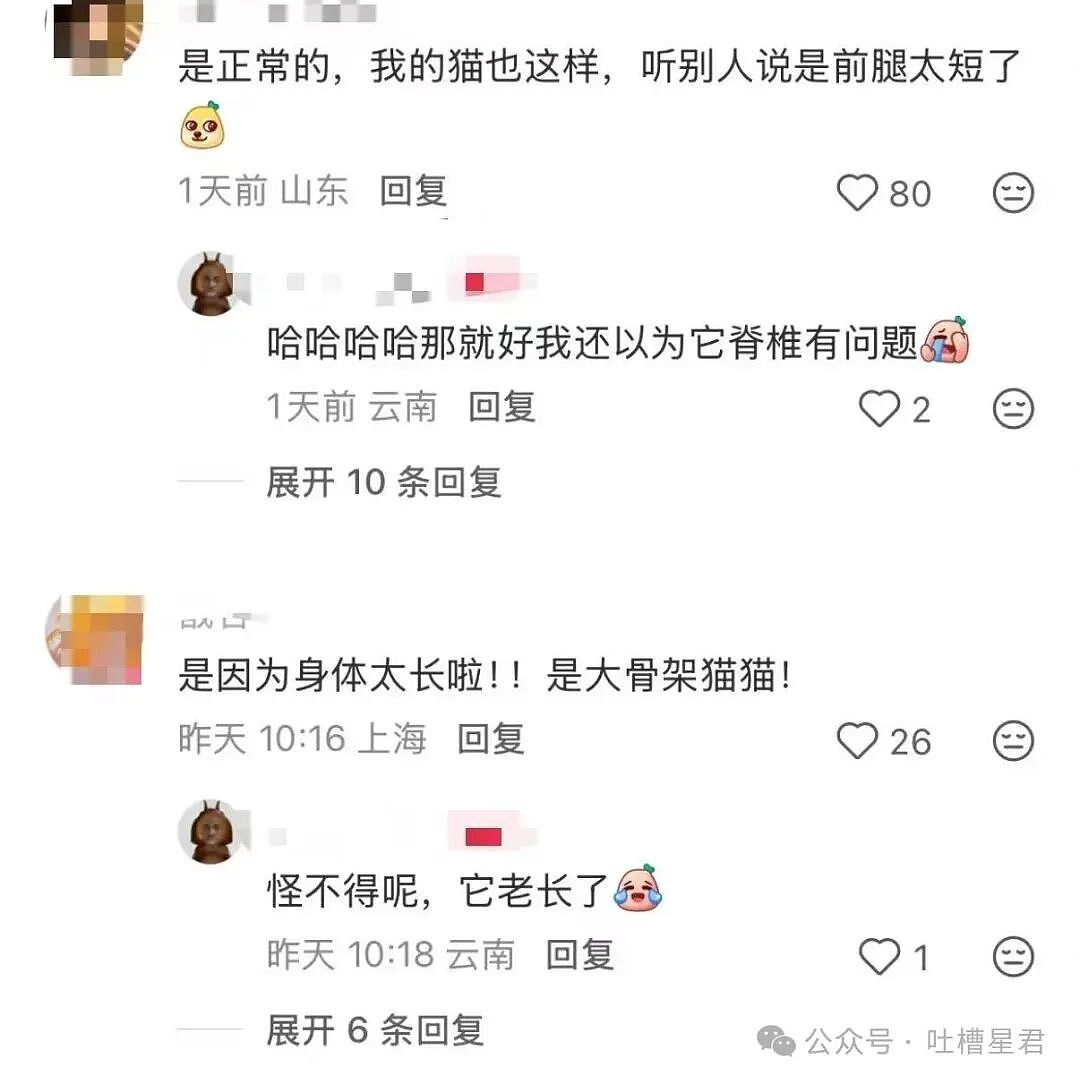 【爆笑】在高铁上外放张震讲故事是种什么体验…?哈哈哈魔法对轰具像化了(组图) - 9