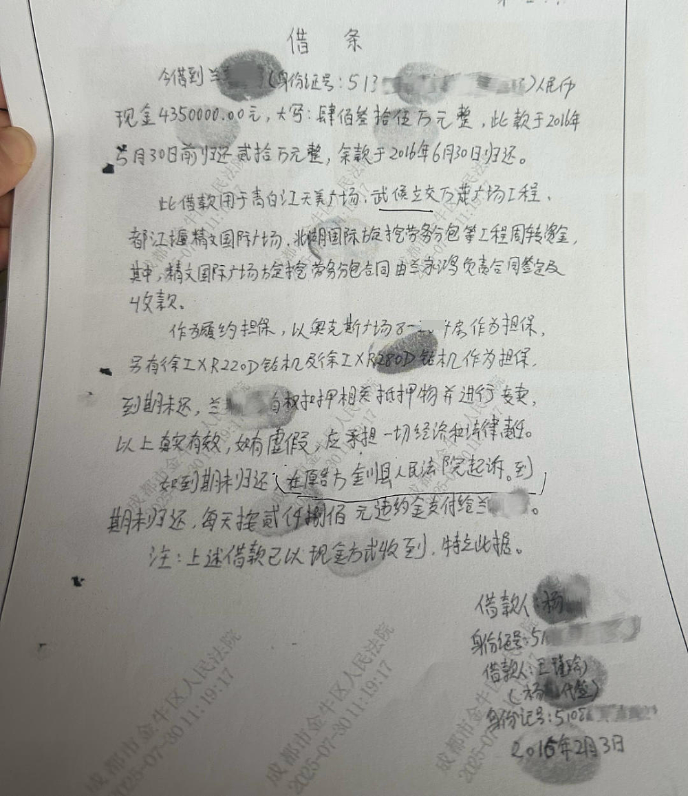 前夫失联,女子卷入780余万巨债诉讼9年,均被判“夫妻共债”,多个案件正在上诉(组图) - 6