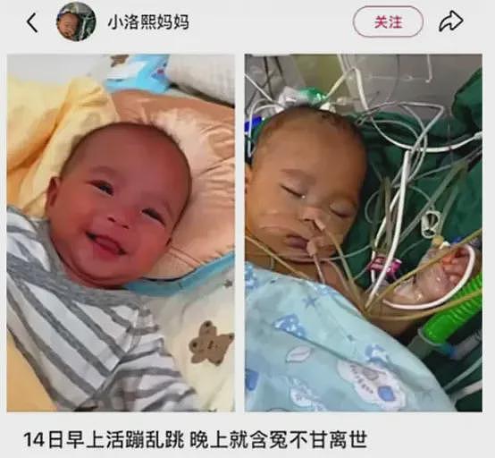 一个女婴之死与一个系统的失灵（组图） - 3
