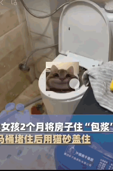 3个东北美女“毁房事件”：有些人表面光鲜，背后如此肮脏（组图） - 2