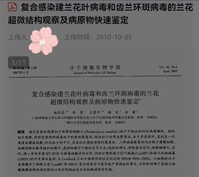 南博事件中有趣的人物剪影:古董界董小姐横空出世?真相大反转!(组图) - 2