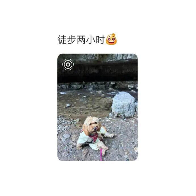 【爆笑】MIU MIU三角内裤售价2.4w？网友傻眼：以后不要说穷的只剩裤衩了 ​​​（组图） - 54