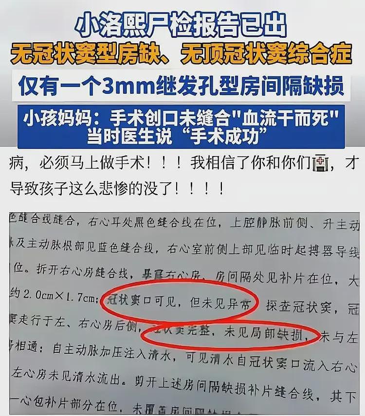 反转！小洛熙尸检报告推翻医院诊断？热搜压不住了，明星纷纷控诉（组图） - 3