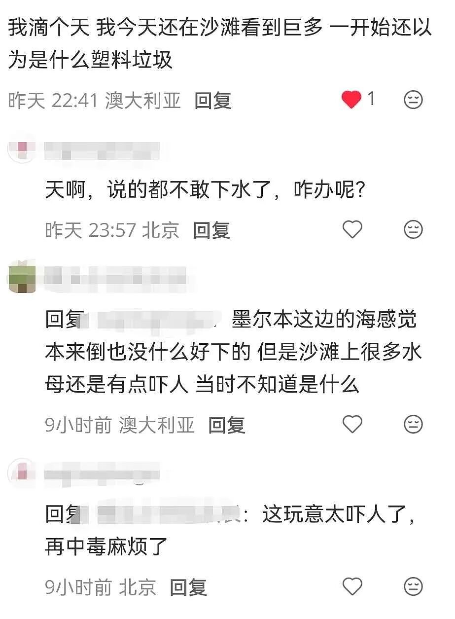 突发关闭！墨尔本东南多处海滩惊现这一幕，记住这点能保命（组图） - 10