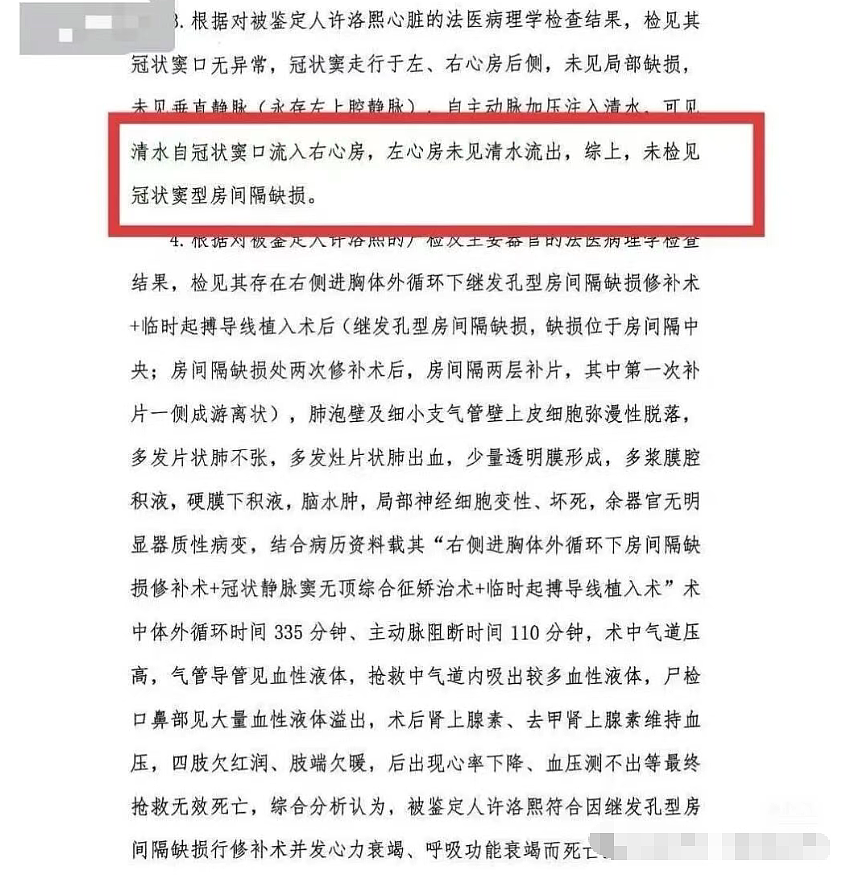 小洛熙事件完整经过梳理：尸检报告公布，手术创口未缝合+血流干而死（组图） - 17