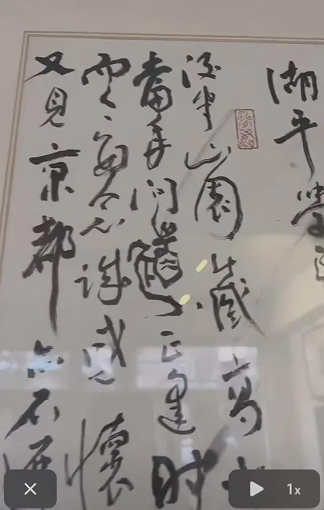 徐湖平家中字画的高清版,被网友们找到了(组图) - 11
