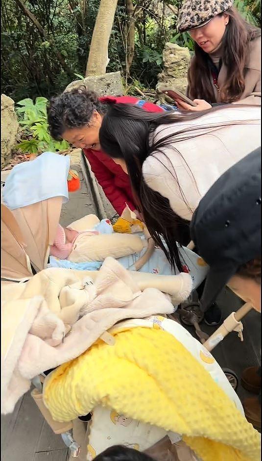 围观哄娃网炸锅！外国夫妻坐缆车，竟将双胞胎婴儿托保安（组图） - 2