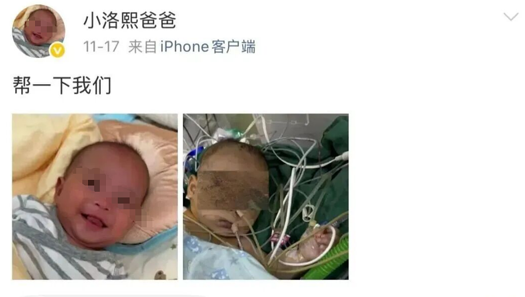 小洛熙事件完整经过梳理：尸检报告公布，手术创口未缝合+血流干而死（组图） - 5