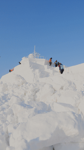 波司登又搞事!复刻“雪龙2”号破冰船,它还有啥做不出来(组图) - 3