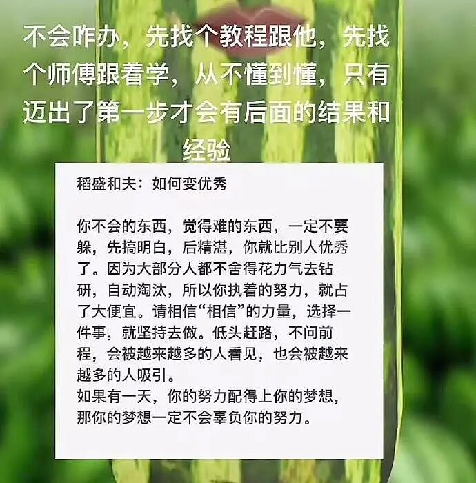 【爆笑】男同事帮我介绍男朋友，结果是个60多岁的老头？网友笑疯：这发展猝不及防（视频/组图） - 36