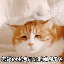 【两性】18禁：男人也会有性冷淡（组图） - 7