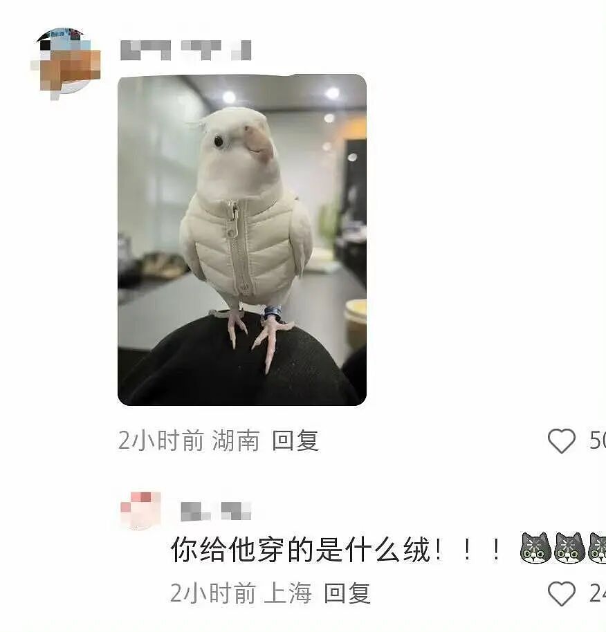 【爆笑】主动给男友订酒店他还不知道好歹…？啊啊啊自我感动式付出能不能叉出地球（组图） - 58