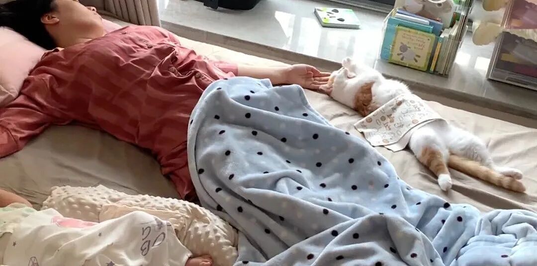 【爆笑】主动给男友订酒店他还不知道好歹…？啊啊啊自我感动式付出能不能叉出地球（组图） - 52