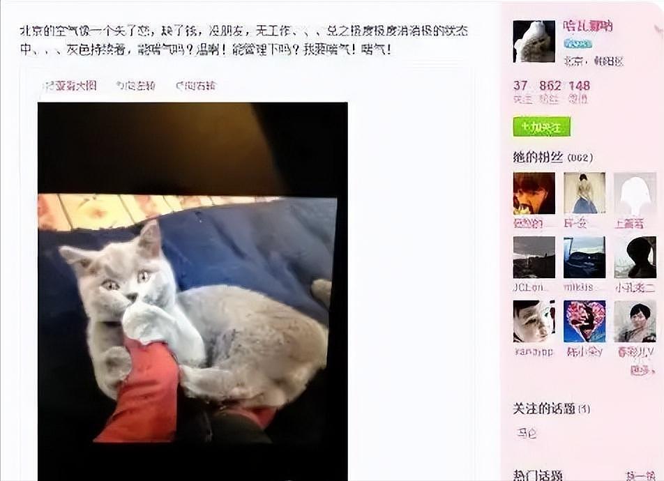 田朴珺否认带资进组:曾靠红烧肉拿下王石,18线逆袭成百亿阔太?(组图) - 19