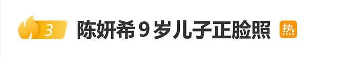 陈妍希公开9岁儿子正脸照,网友称眉眼像陈晓(组图) - 1