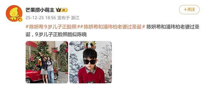 陈妍希公开9岁儿子正脸照,网友称眉眼像陈晓(组图) - 3