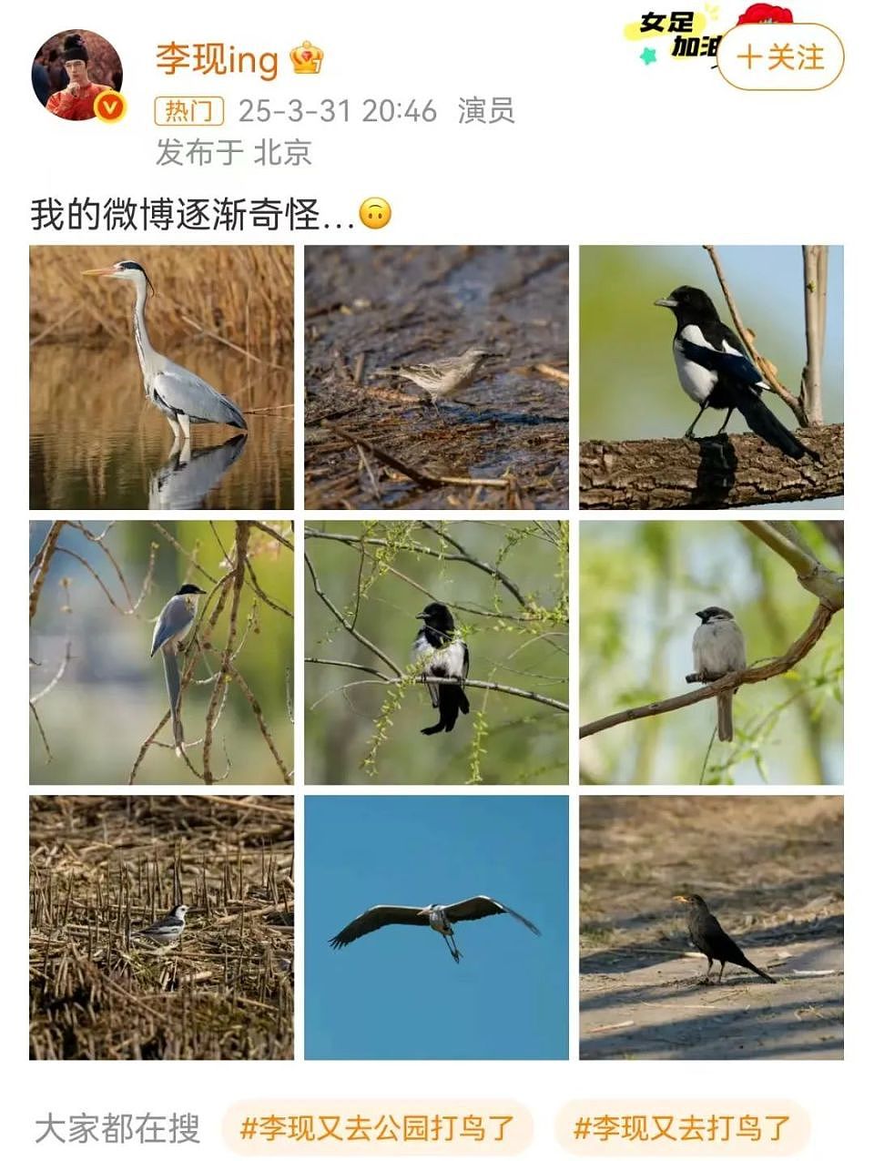 李现到处拍，吴磊到处骑，王一博到处爬…男明星们扎堆“卷户外”（组图） - 10