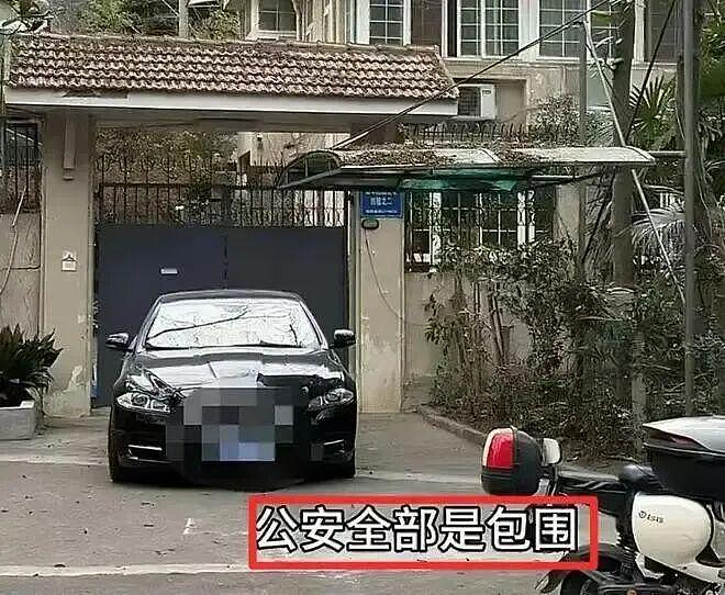 徐湖平夫妻被带走!红二代身份曝光,一家三口精密布局盗宝(组图) - 1