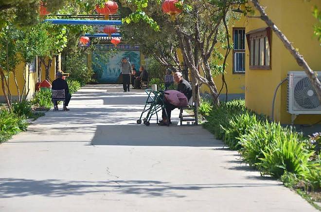 200万中国老人隐秘的性与爱江湖:七旬老人撩骚多个女性被养老院赶走(组图) - 23