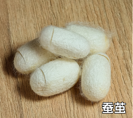 密密麻麻，杭州姑娘体内取出2斤！医生傻眼：你都25岁了...（组图） - 5