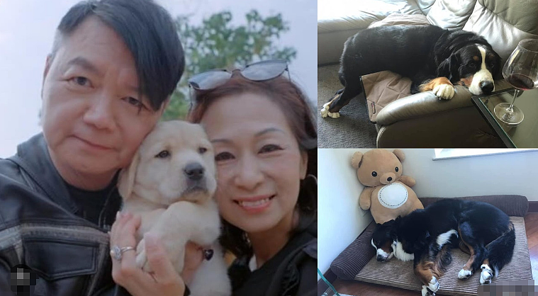 恭喜成功复合！花光积蓄救妻，却惨遭“抛弃”？如今独身上综艺（组图） - 5