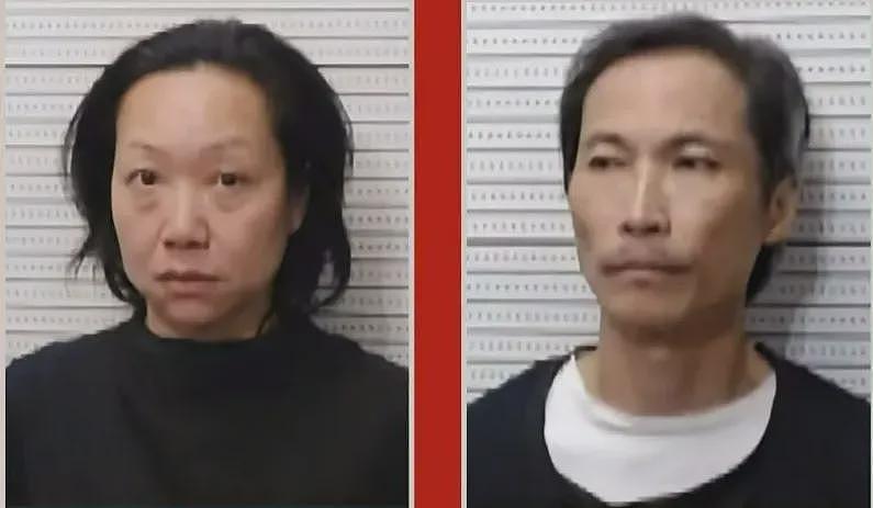 狗吠+婴儿哭+警报！美国德州华人夫妻被控长期噪音骚扰邻居（组图） - 2