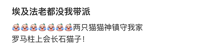 【爆笑】“男装的口袋究竟有多离谱？？”哈哈哈哈哈看完CPU都给干烧了！！（组图） - 50
