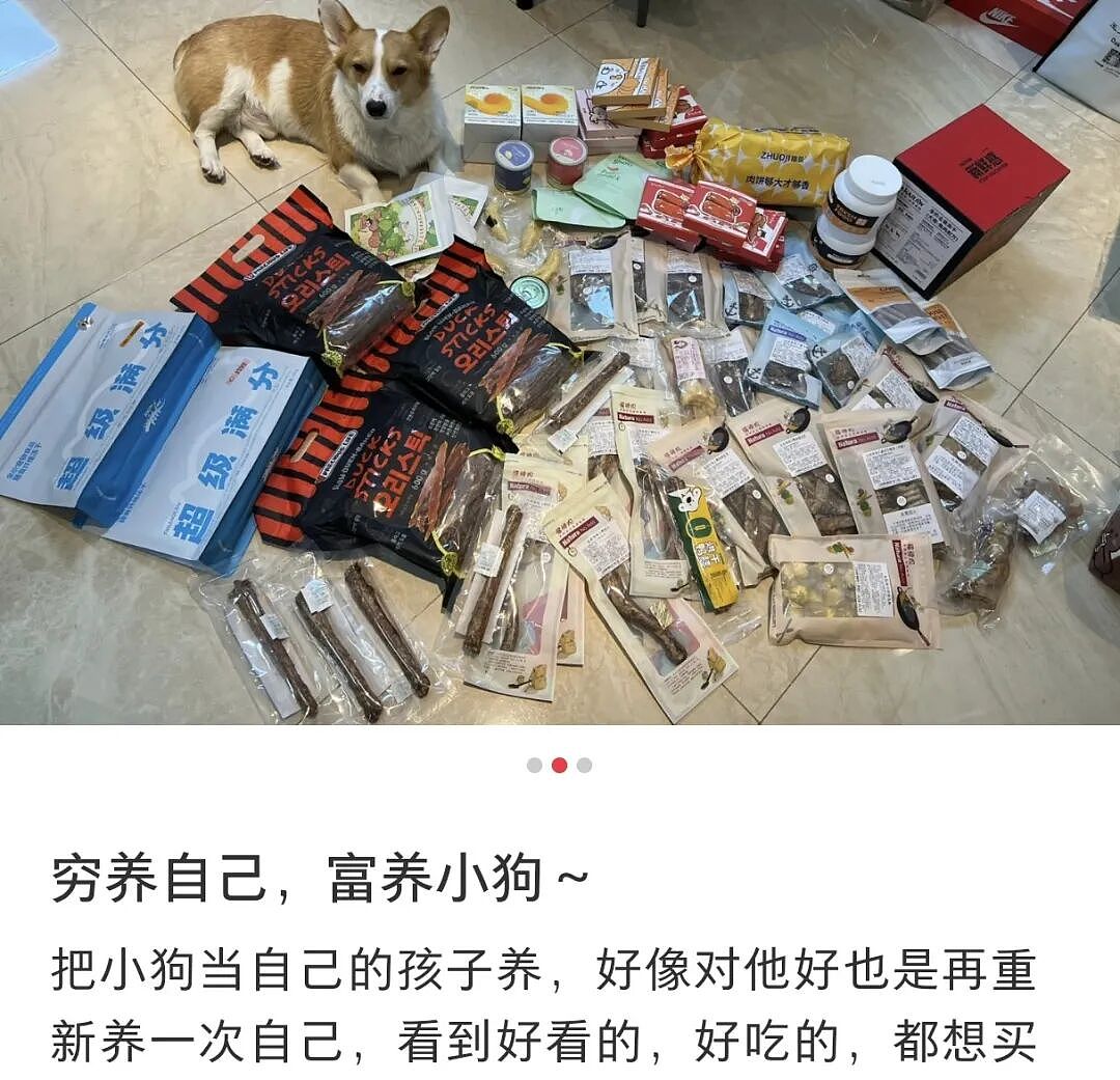 “富养自己”爆火!2025年十大网红风口,让中国年轻人花爽了(组图) - 17
