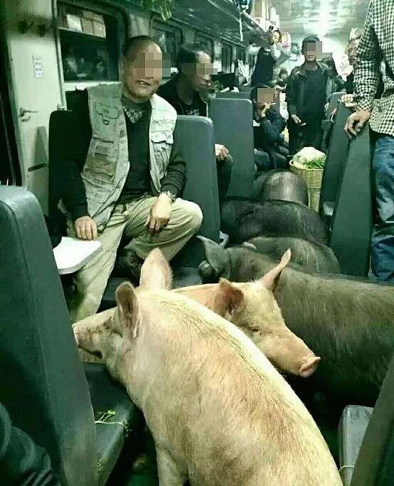 年薪45万美元的程序员之死:“斩杀线”究竟有多可怕?(组图) - 16