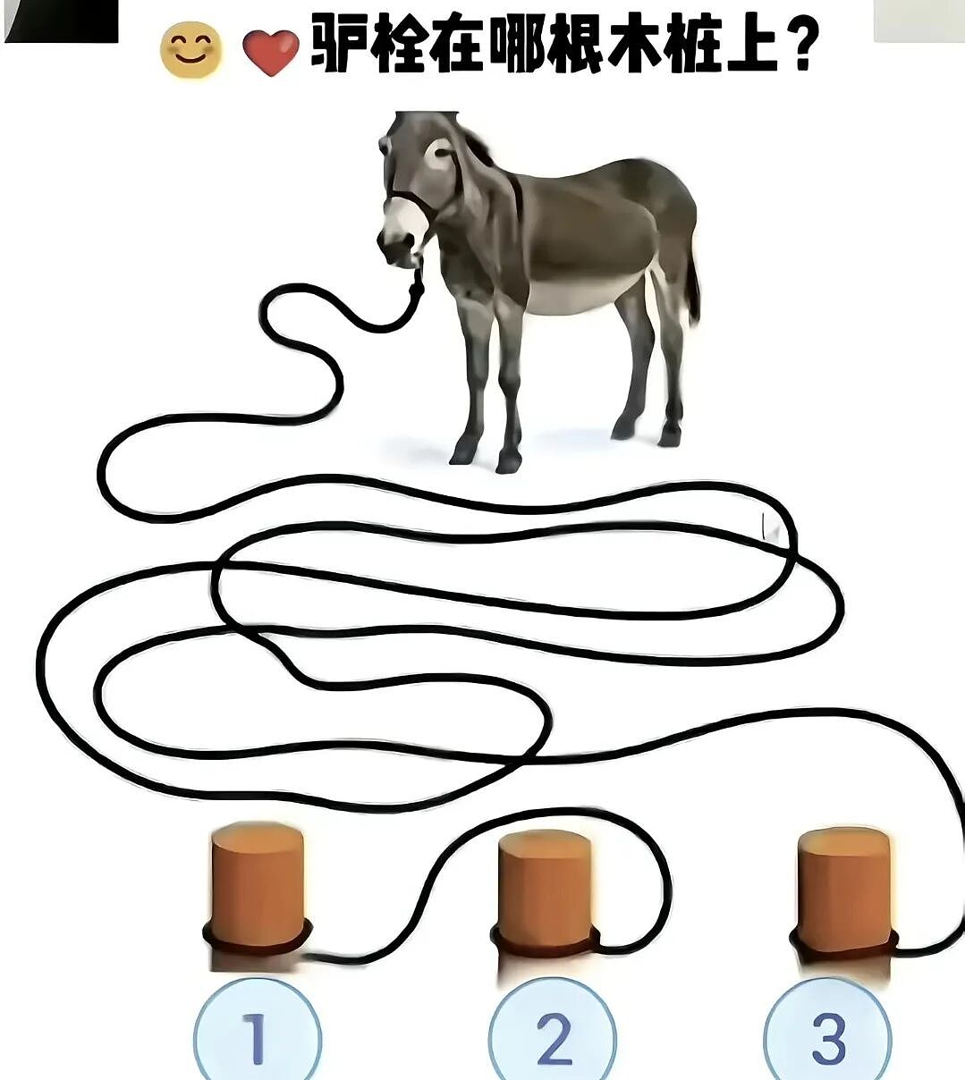 【爆笑】“男装的口袋究竟有多离谱？？”哈哈哈哈哈看完CPU都给干烧了！！（组图） - 72
