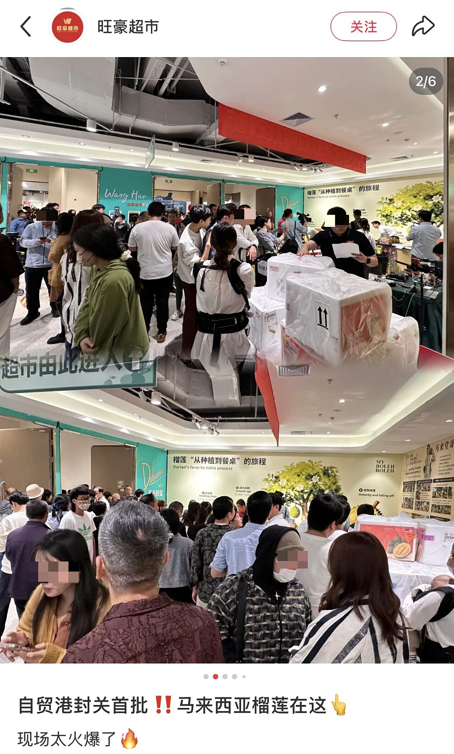 去一趟封关后的海南，我被自己穷笑了（组图） - 22