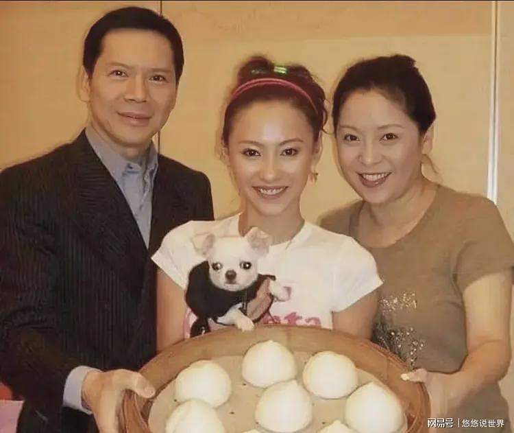 嘲讽张柏芝三胎全是赔钱货，向太忍无可忍，揭露宁静嫁老外内幕（组图） - 12