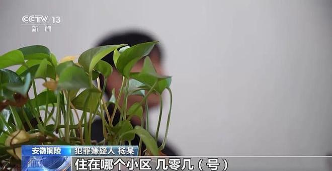 特大“职业背债人”贷款诈骗案详情披露：300多人骗贷全国多家银行上千万元，每个环节都有专人负责（组图） - 2