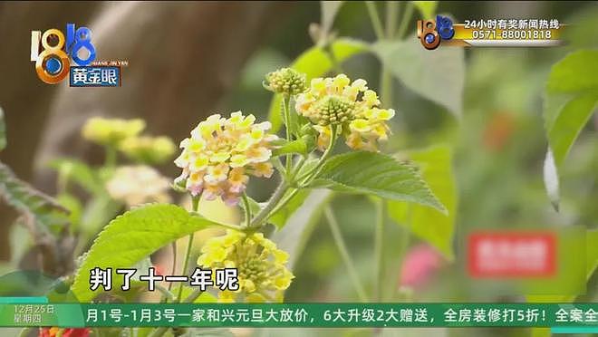 做了亲子鉴定后，他们忍了三年，现在实在忍不下去了（组图） - 31