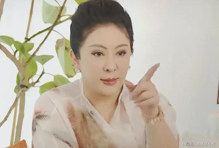 嘲讽张柏芝三胎全是赔钱货，向太忍无可忍，揭露宁静嫁老外内幕（组图） - 11