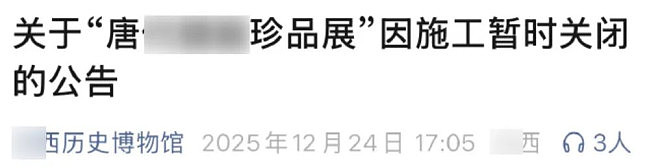 大量博物馆近期宣布闭馆，担心的事情终于发生了（组图） - 8