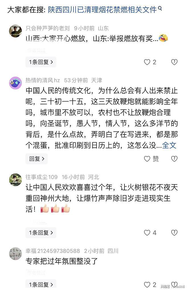 中国年又要回来了!山西解禁烟花爆竹后,四川也跟进了,全民沸腾(组图) - 3