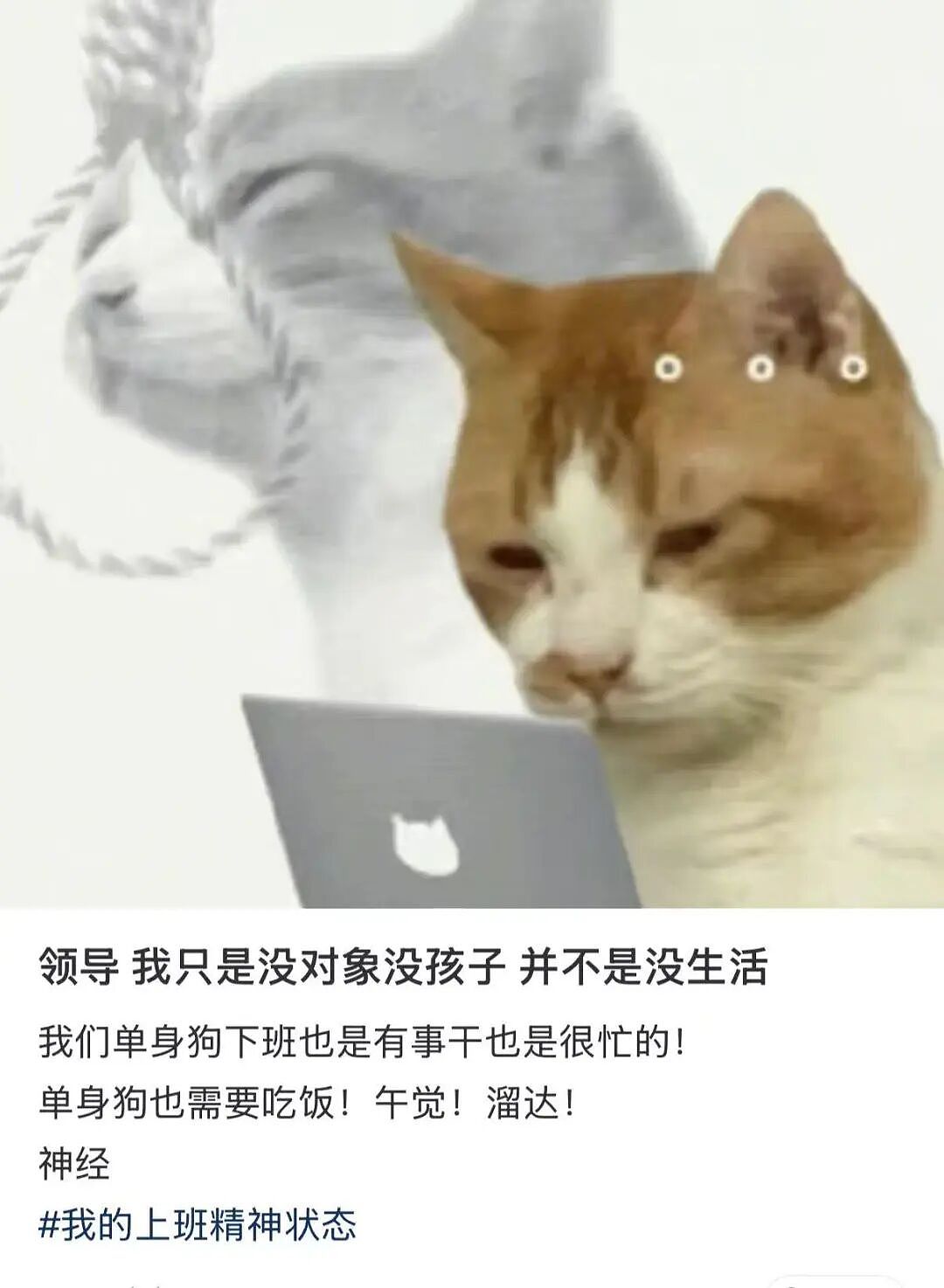 【爆笑】“人生建议不要在家全职备孕…”啊啊啊全职备考我听过全职备孕是什么意思（组图） - 38